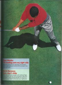 29. [28.2]Tiger woods