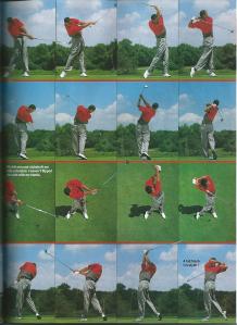 35. [28.8]Tiger woods